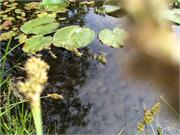 IMG_3634