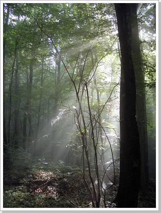 0010_CIMG1522.jpg