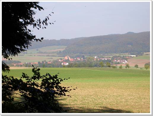 0043_CIMG1564.jpg