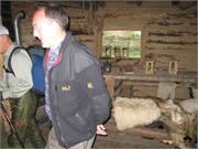 IMG_0962