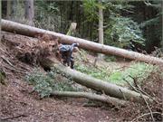 Img_0973