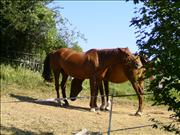 BILD0899