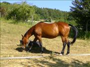 BILD0900