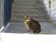 BILD0905