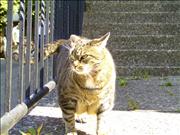 BILD0906