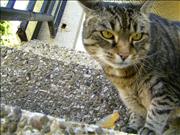 BILD0909