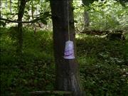 BILD0917