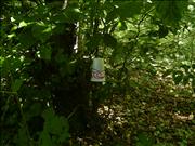 BILD0919